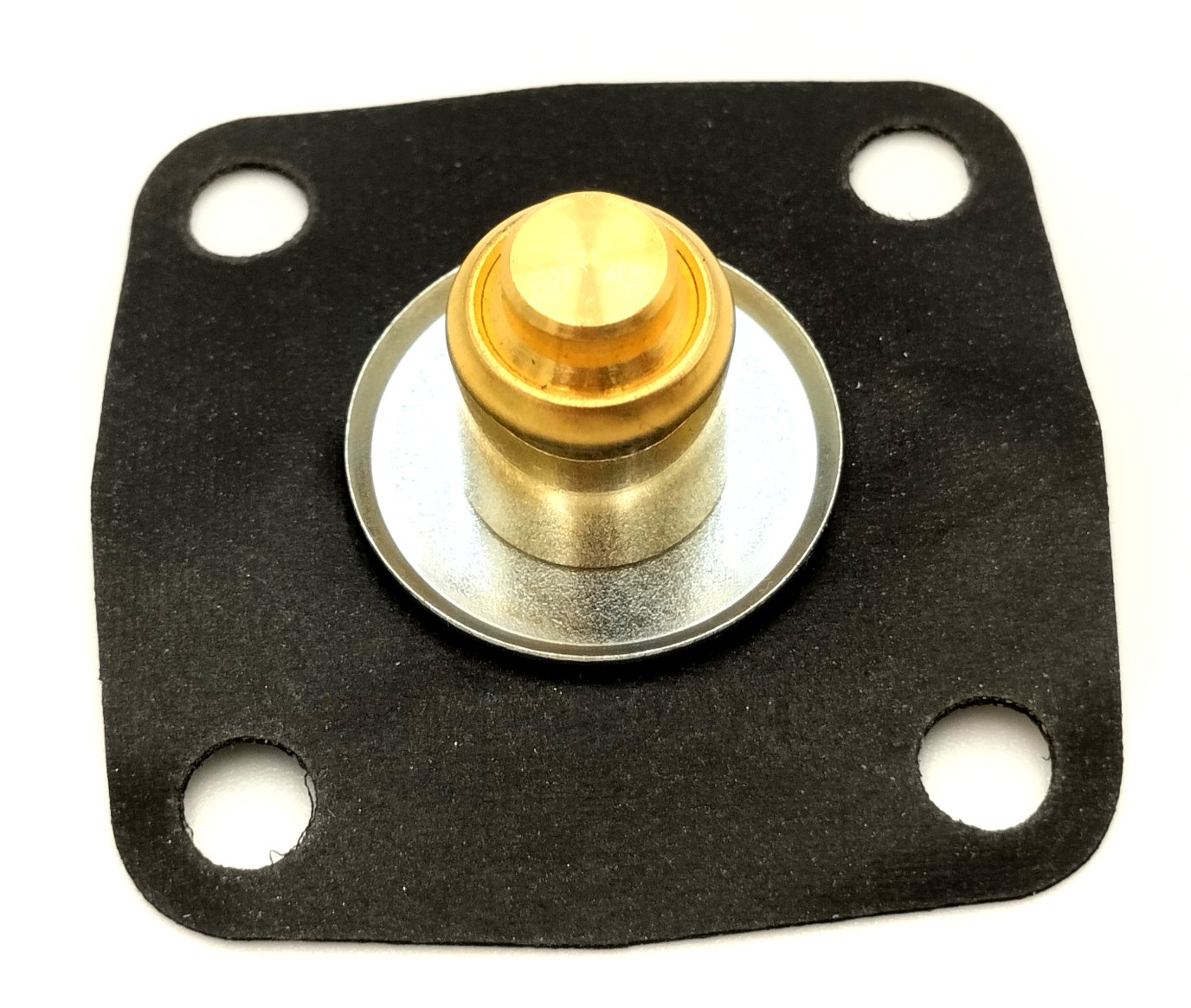 Diaphragm - pump