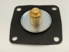 Diaphragm IDF Early