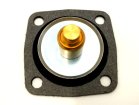 Diaphragm Pump