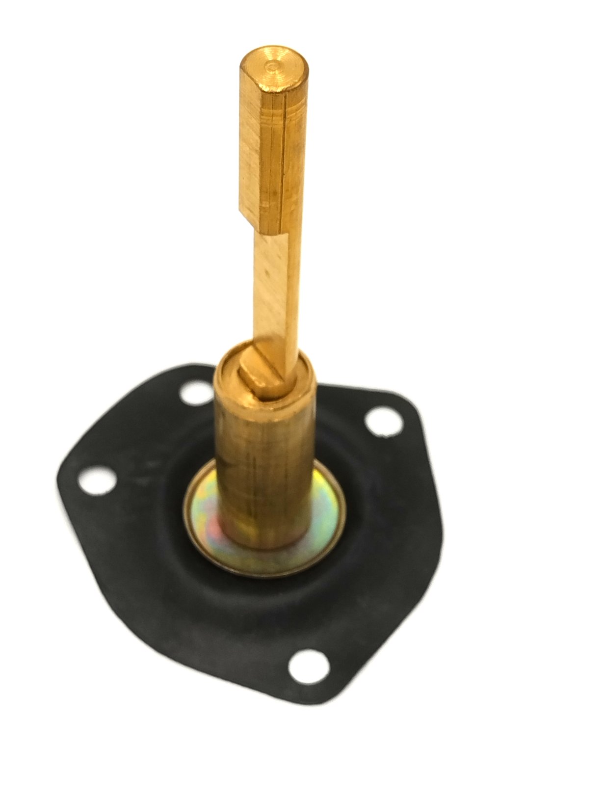 DIAPHRAGM