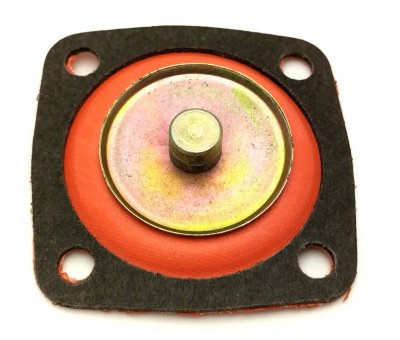 Diaphragm