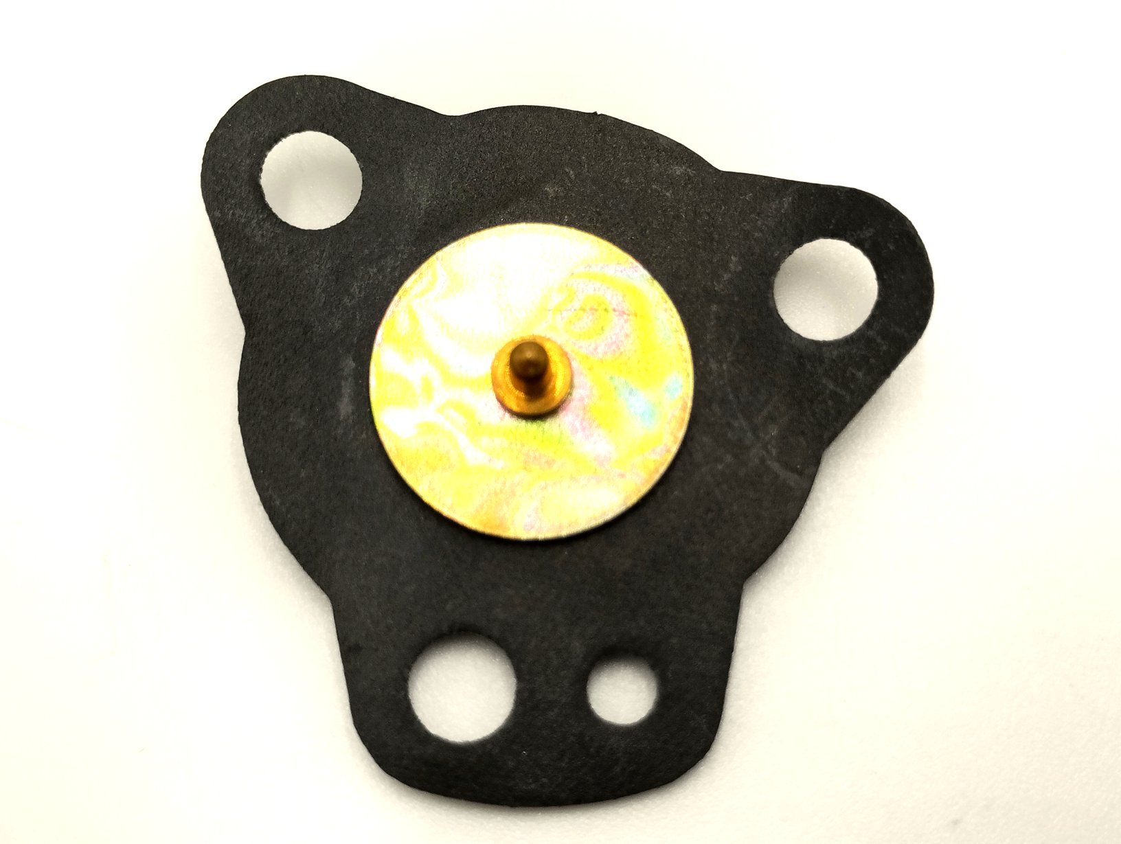 DIAPHRAGM