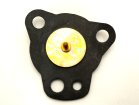 DIAPHRAGM