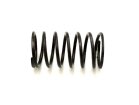 Spring - Pump Diaphragm DCNF