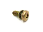 M5 X 12 Cheese Head Screw & Washer