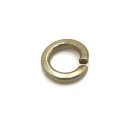 M5 Single Coil Spring Washer