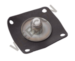 Diaphram IDF Early