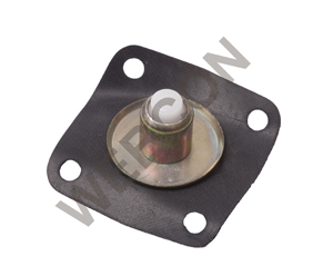 Diaphragm