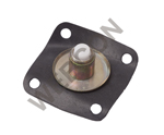 Diaphragm