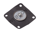 Diaphram IDF late