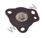 Diaphragm