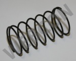 PUMP ROD SPRING