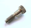 Idle speed screw