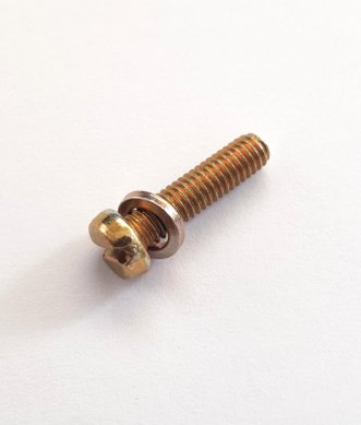 M4 x 16 Cheese Head Screw & Washer