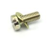 M5 x 12 Screw & Washer 