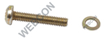 M4 x 22 Screw / Washer TPS Mounting