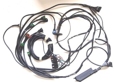 Wiring loom - Alpha PI030-PI048 - Engine management