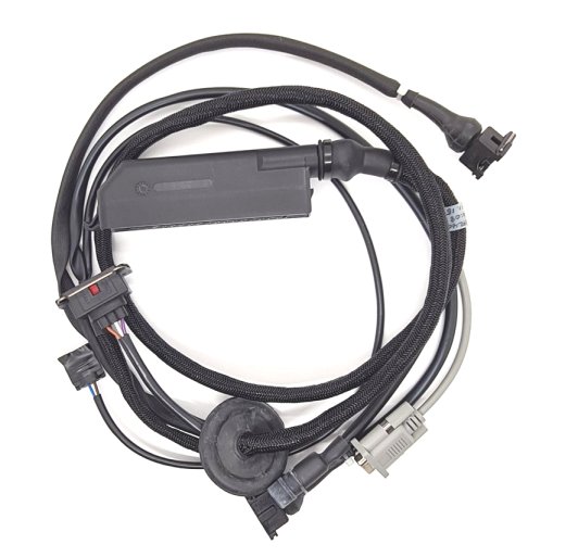 Wiring loom - Ford Zetec - Ignition Only